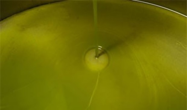 olio extravergine d'oliva santamaria