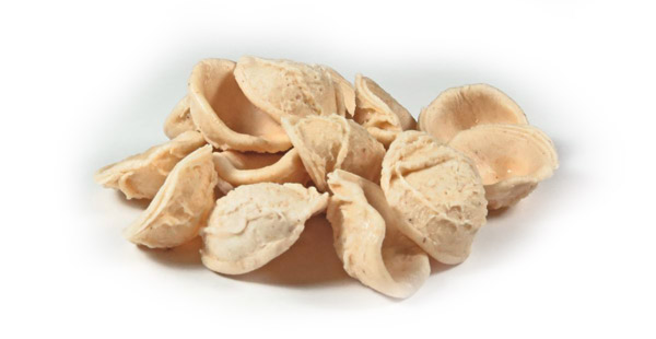 orecchiette baresi artigianali nella varietà senatore cappelli